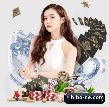 必博的方向 | BIBO
